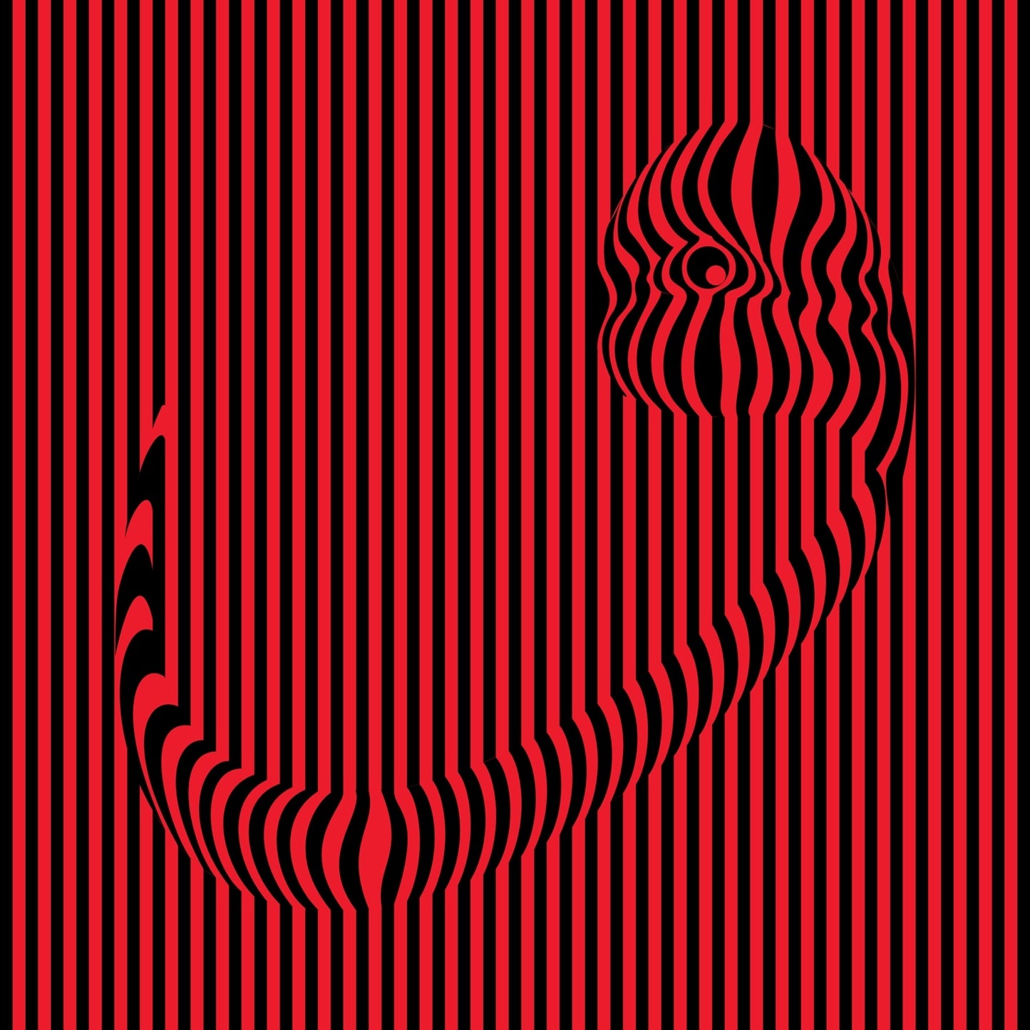 The Space Of the Observer